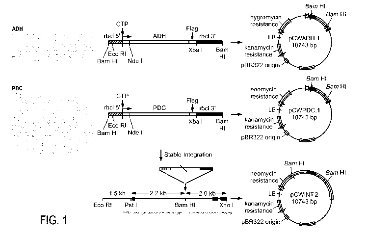 Une figure unique qui représente un dessin illustrant l'invention.